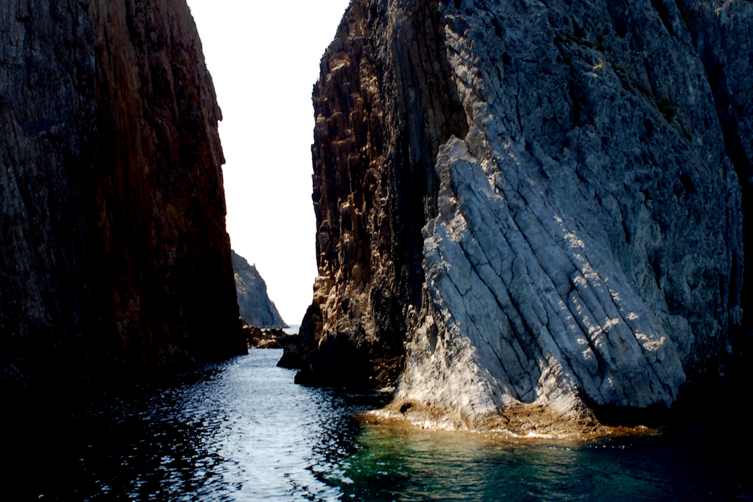 58 palmarola island.webp